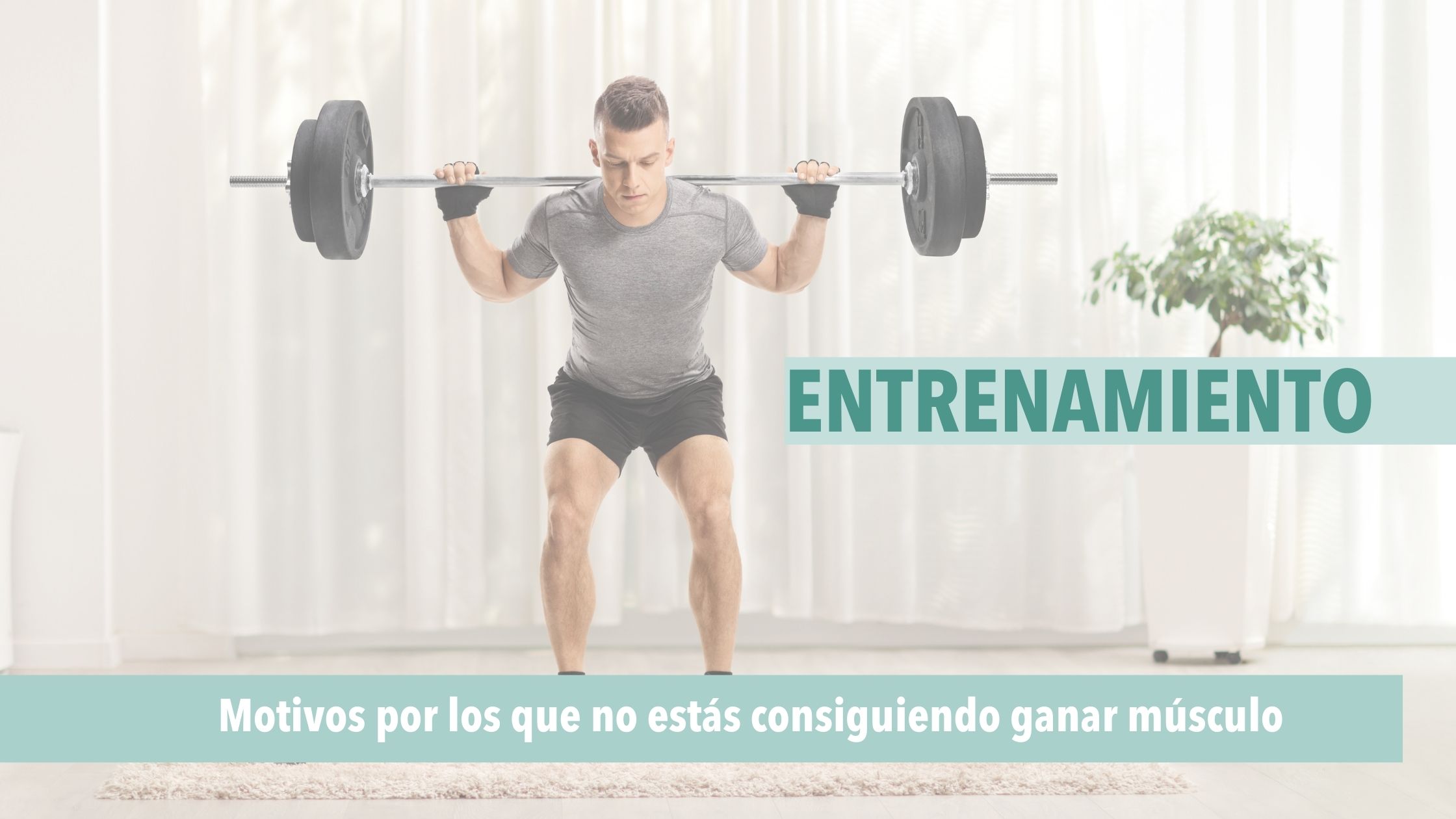 post errores para ganar músculo