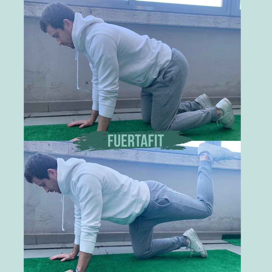 ejercicios de glúteos sin material fuertafit 
