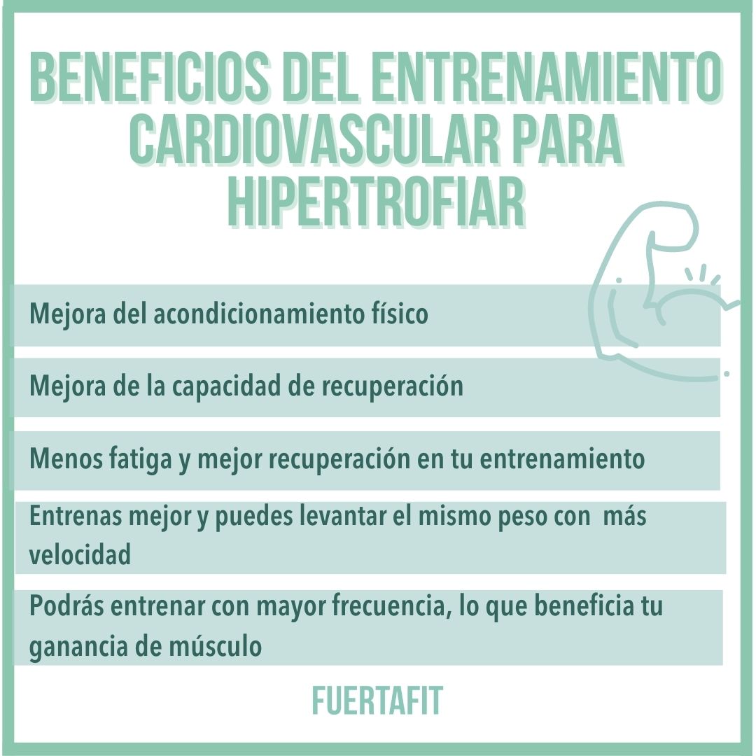 beneficios entrenamiento cardiovascular hipertrofia