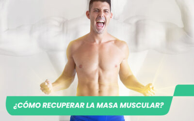 ¿Cómo recuperar la masa muscular?